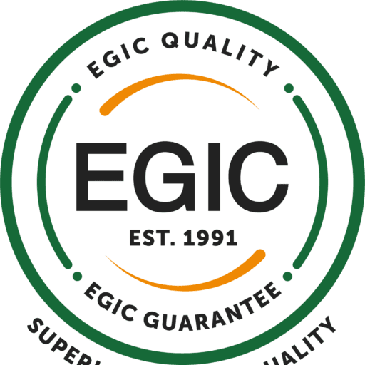Wasila development egic